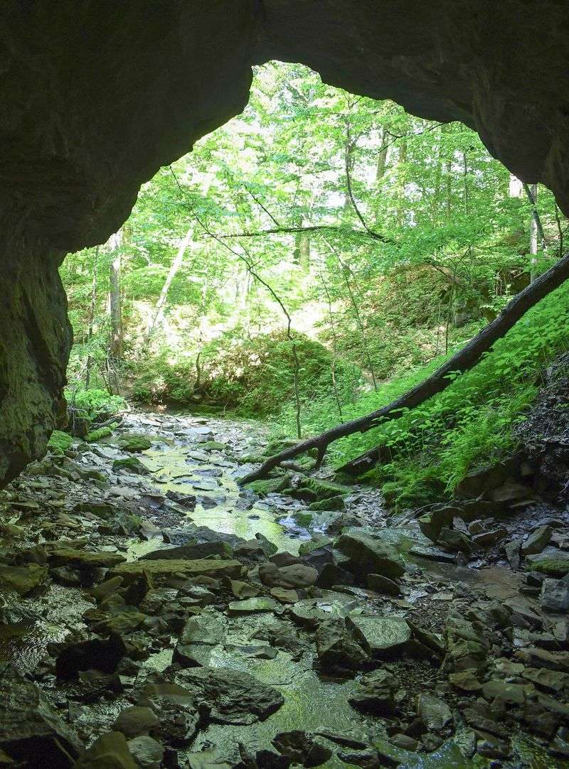 Bluffs, Creeks, and Everything Between Bluffs, Creeks, and Everything Between