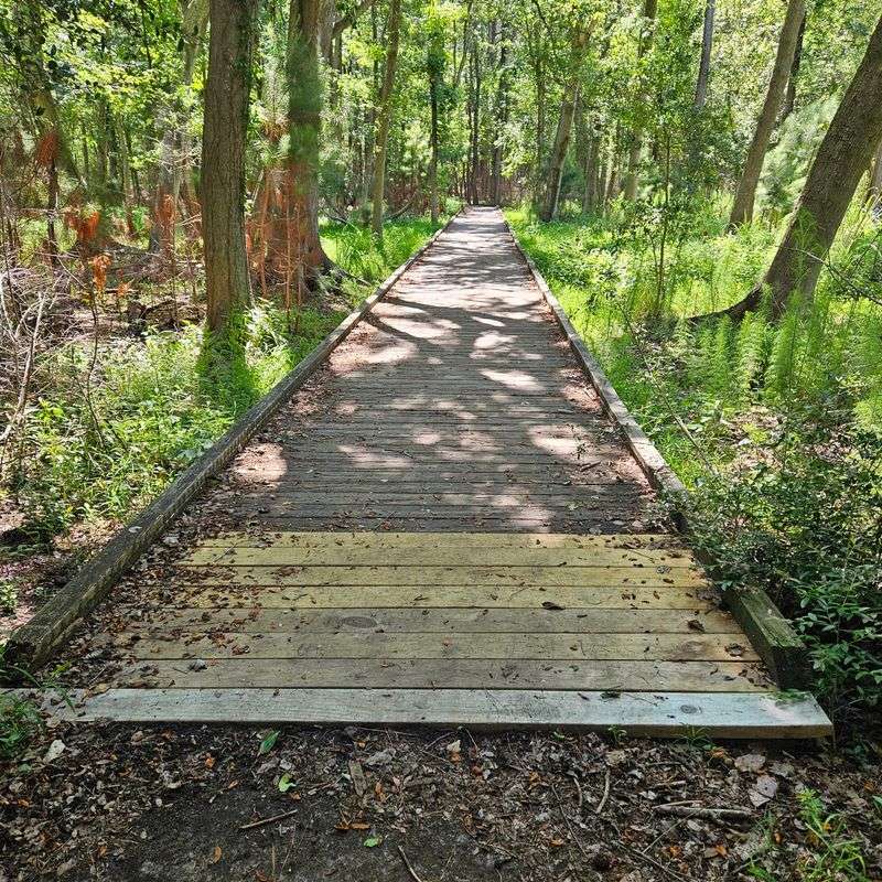 Boardwalks And Trails For Every Pace Boardwalks And Trails For Every Pace
