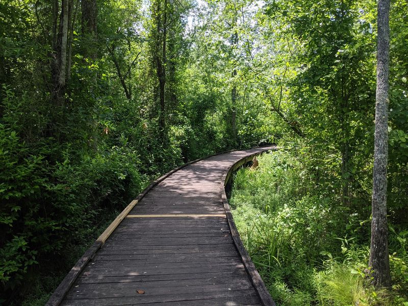 Boardwalks, Boat Rentals, And Family Fun