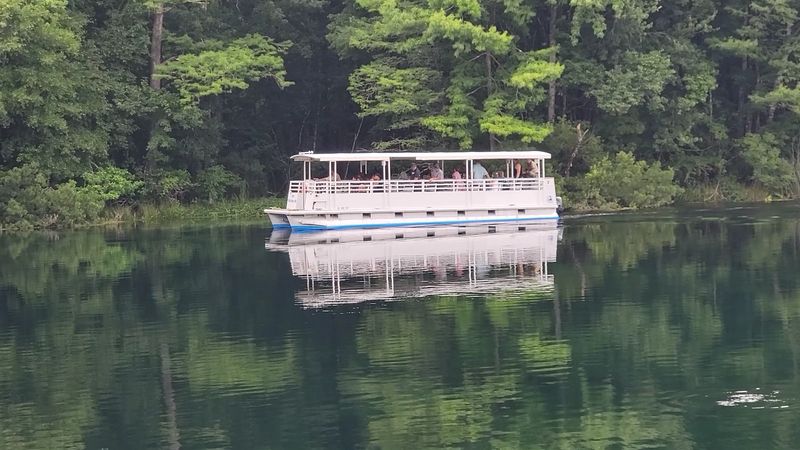 Boat Tours, Manatees, and Curious Alligators Boat Tours, Manatees, and Curious Alligators