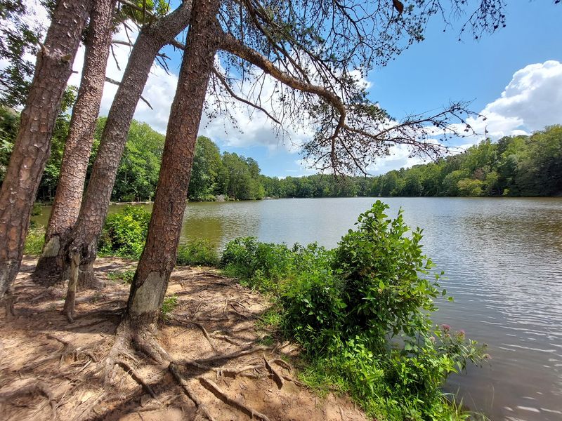 Boating, Kayaks, and Paddle Boats