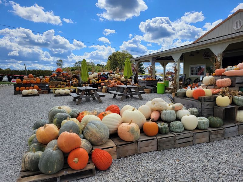 Branstool Orchards, Utica, OH