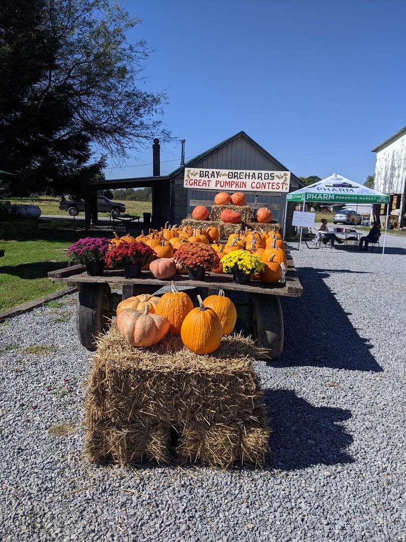 Bray Orchards & Farm Market, Bedford, KY