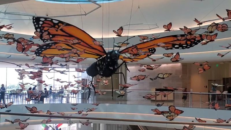 Bricks, Crayons, and a Human Claw Machine