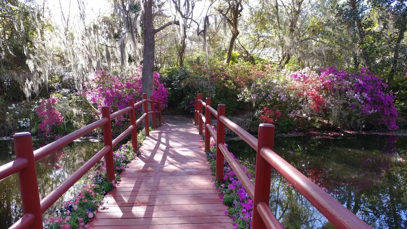 Bridges, Trails, and Photo-Worthy Corners Bridges, Trails, and Photo-Worthy Corners