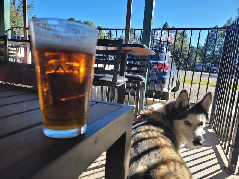 Bring The Dog Along