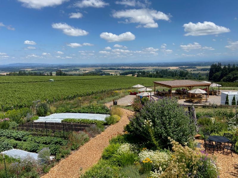 Brooks Wine, Amity, OR