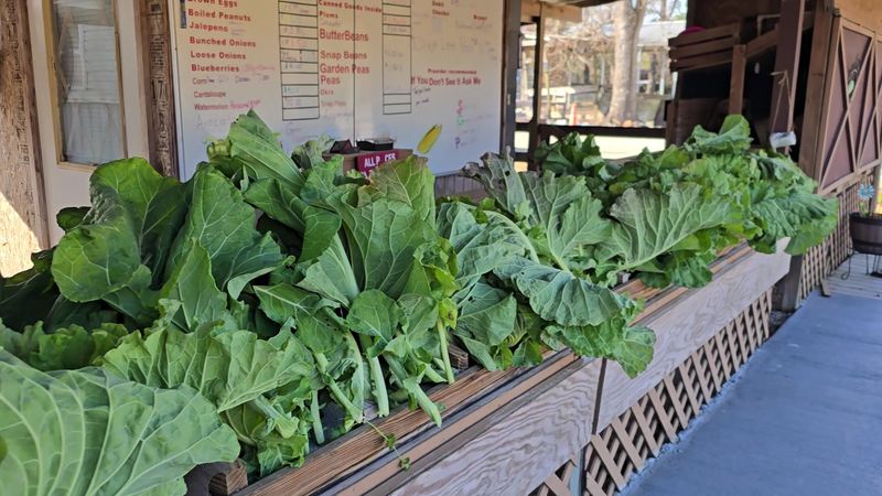 Bryant's Fruit and Produce style stands, Rocky Mount area, NC