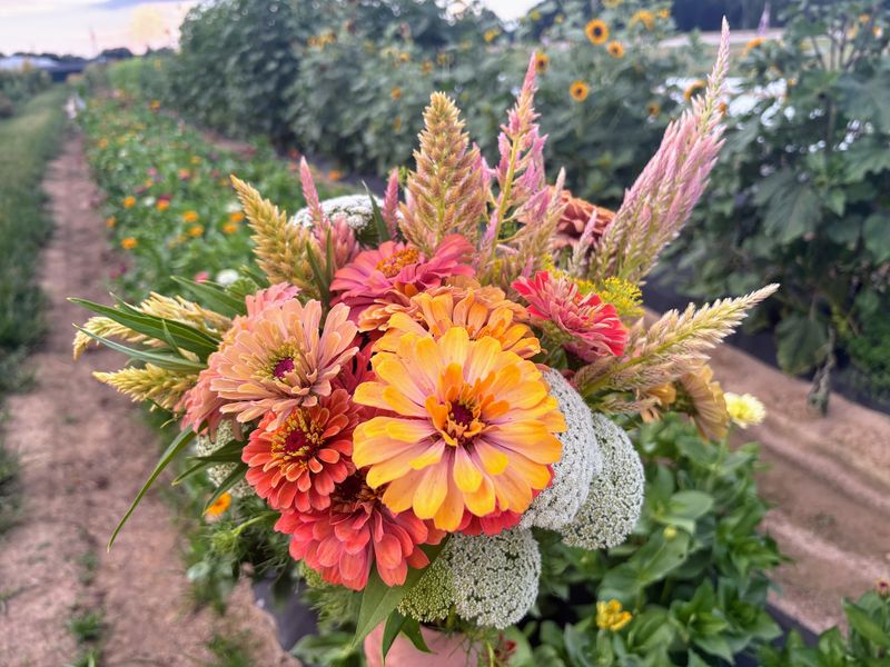 Build-Your-Own Bouquets in the Flower Rows