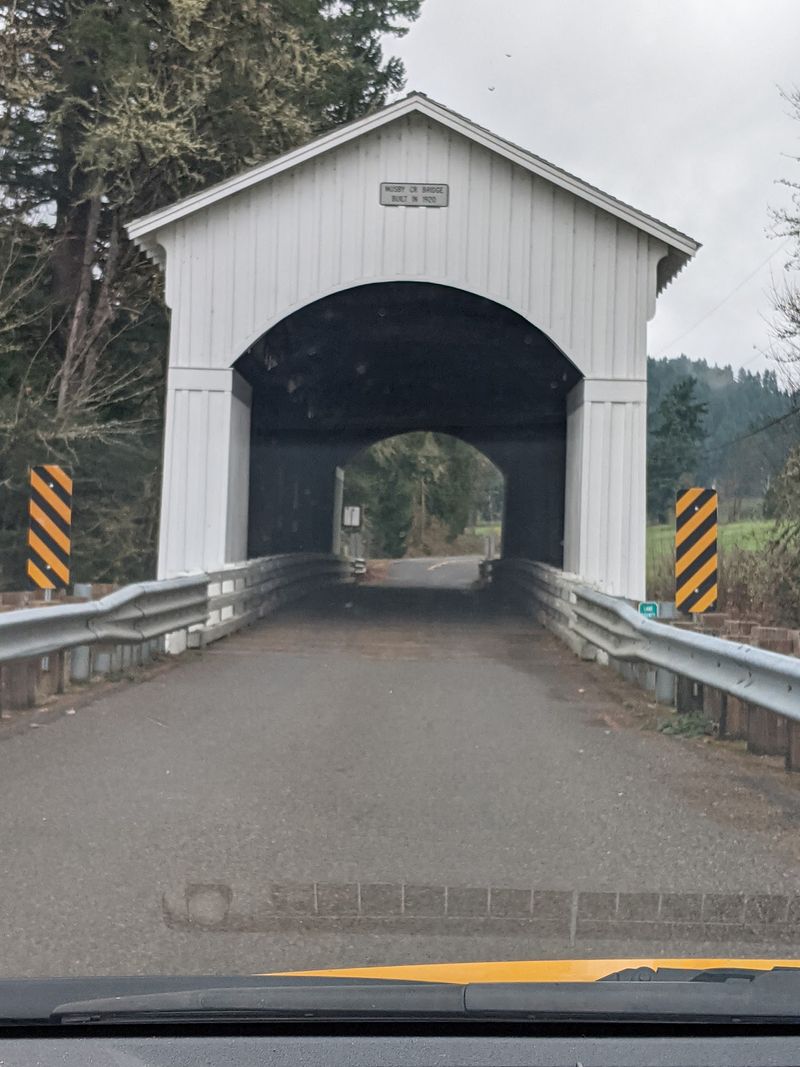 Building A Loop Around The Bridges
