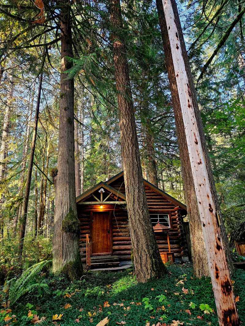 Cabins Tucked Into Eleven Wooded Acres
