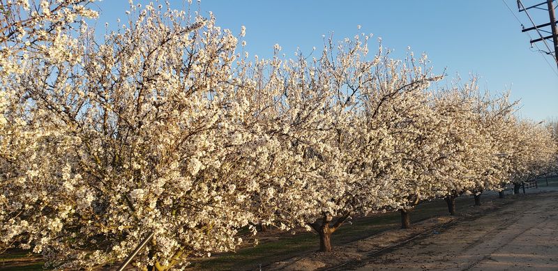 California City, Kern County