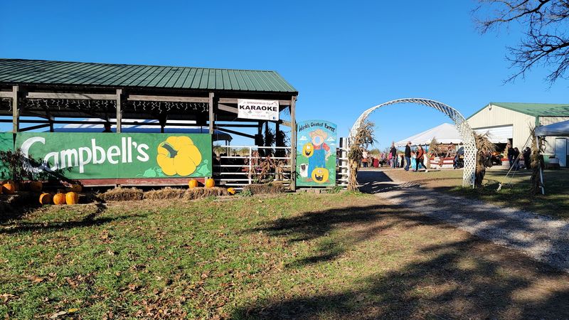 Campbell's Maze Daze & Pumpkin Patch, Clever, MO