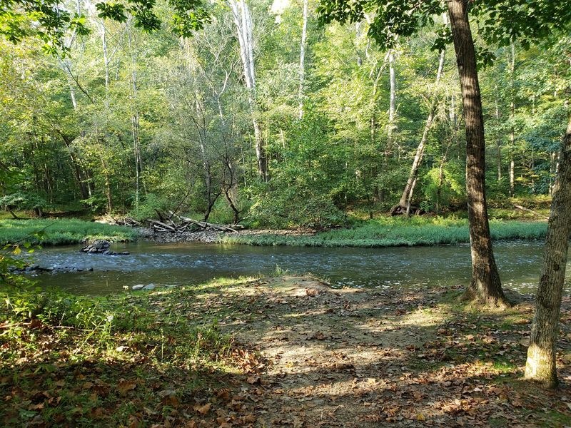 Camping Along The River