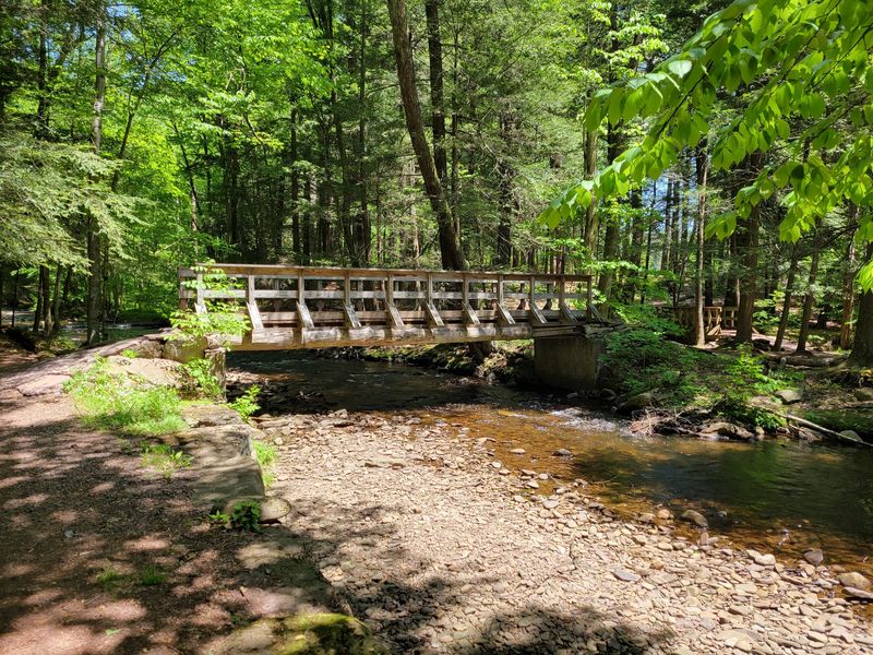 Camping Among The Creeks