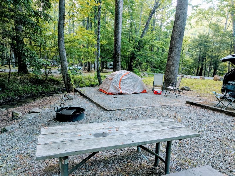 Camping And Picnics Just Steps Away