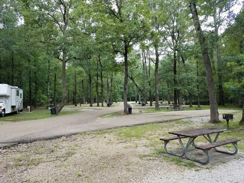 Camping From Full Hookups to Primitive Escapes Camping From Full Hookups to Primitive Escapes