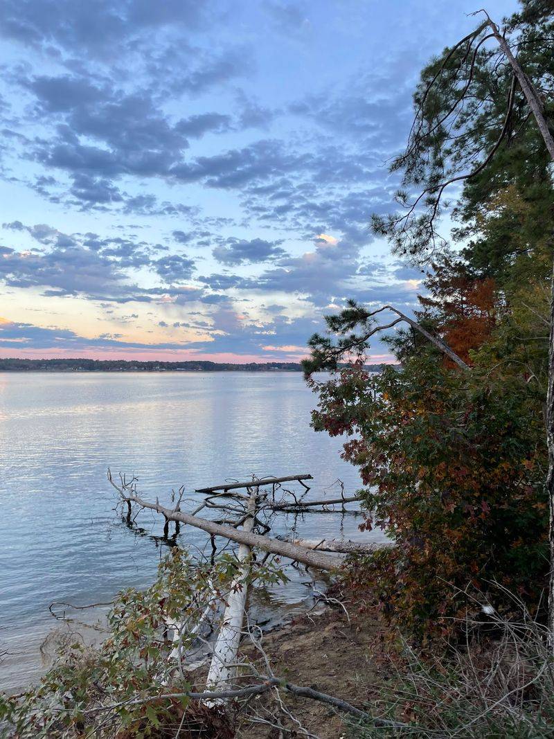 Camping Right Beside the Sandy Shore