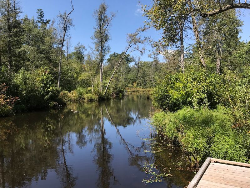 Camping That Feels Genuinely Peaceful