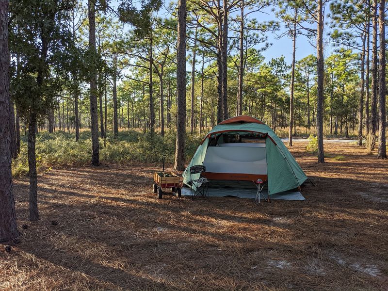 Camping That Feels Off The Grid Camping That Feels Off The Grid