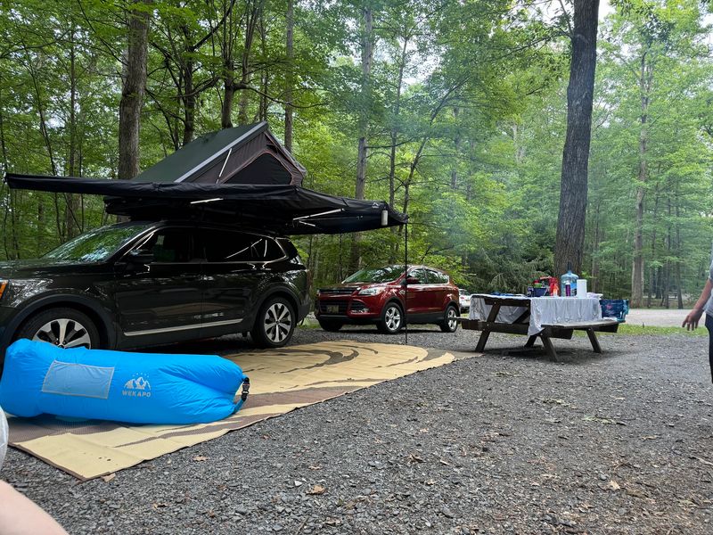 Camping Under A Quiet Canopy
