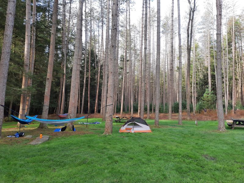 Camping Under The Canopy Camping Under The Canopy
