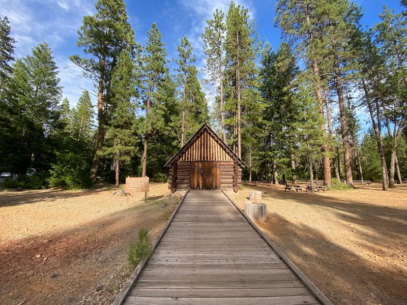 Camping Under the Pines