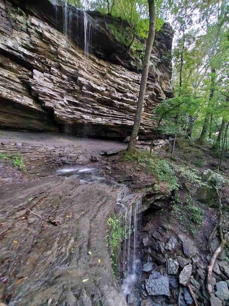 Camping for Every Kind of Camper