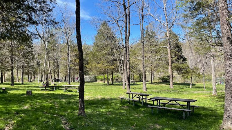 Campsites That Feel Spacious and Cared For Campsites That Feel Spacious and Cared For