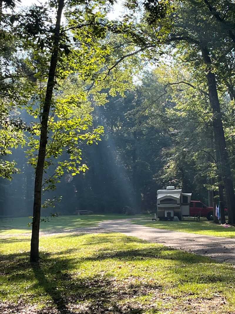 Campsites Under the Southern Sky