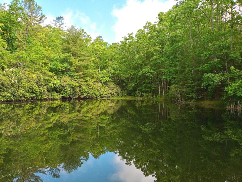 Campsites With Room to Breathe