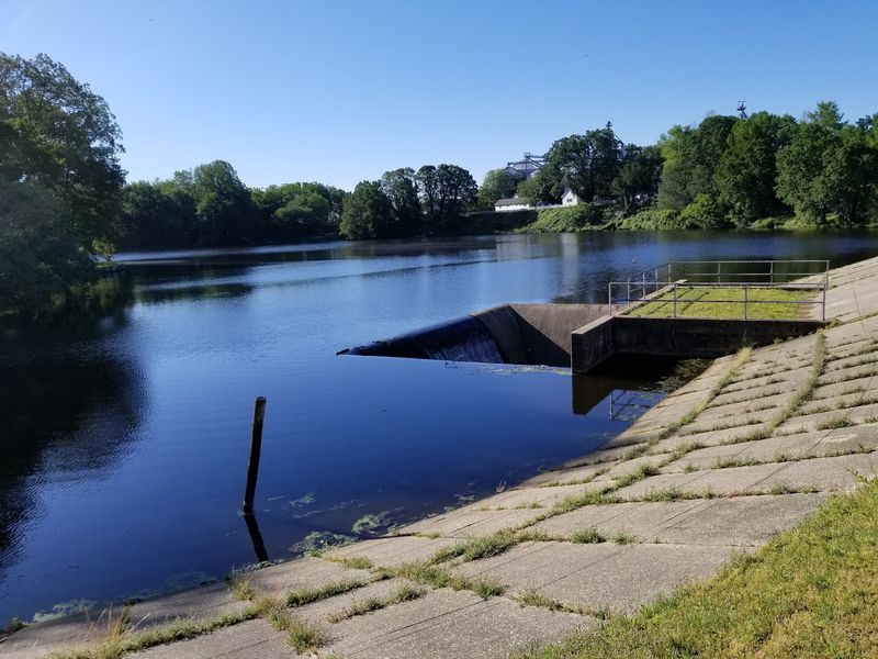 Cast a Line Near the Old Mill