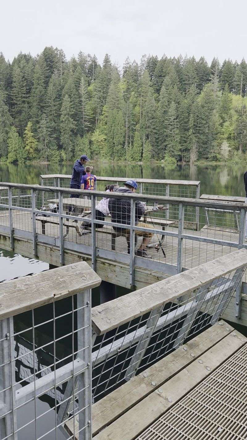 Casting A Line For Trout