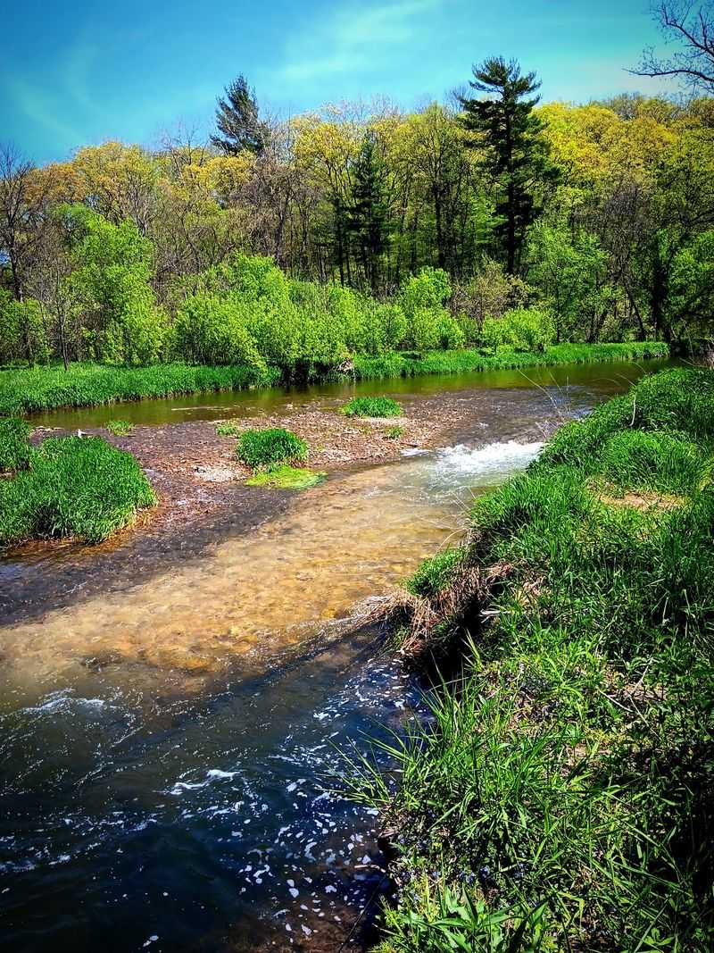 Casting A Line In Trout Country Casting A Line In Trout Country