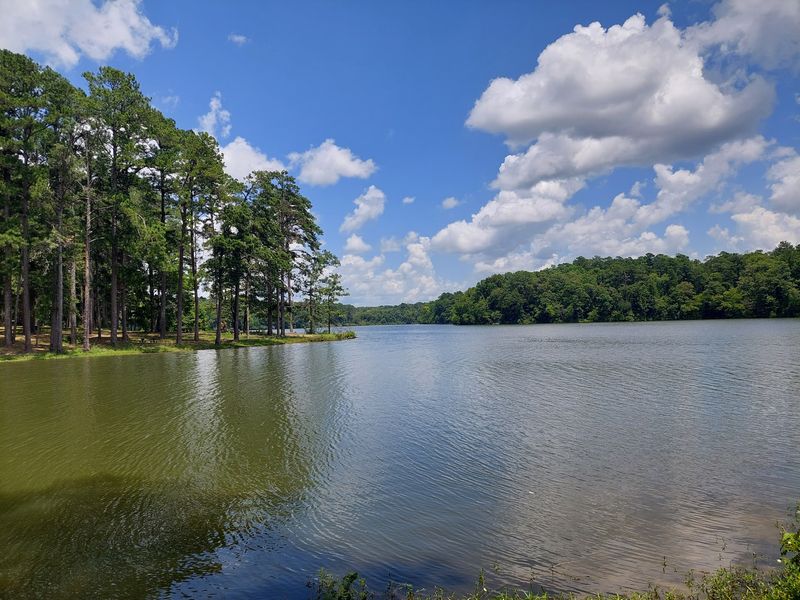 Casting A Line On A 150-Acre Lake