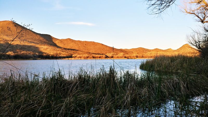Casting A Line On A Calm Lake
