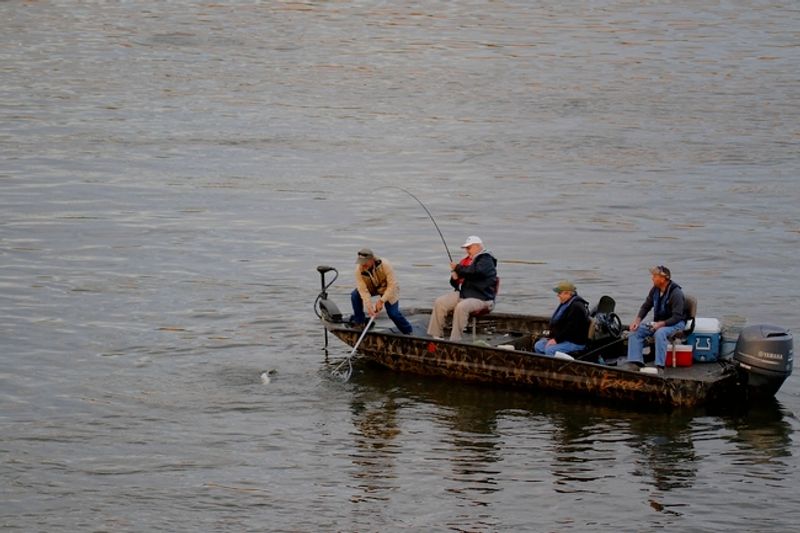 Casting A Line On Kentucky Lake