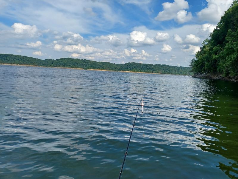 Casting A Line Where The Fish Come Easy Casting A Line Where The Fish Come Easy