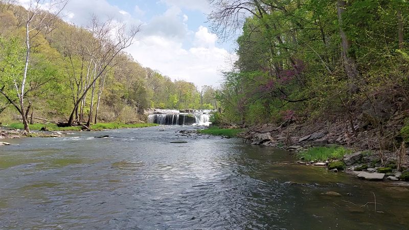 Casting a Line by the Falls