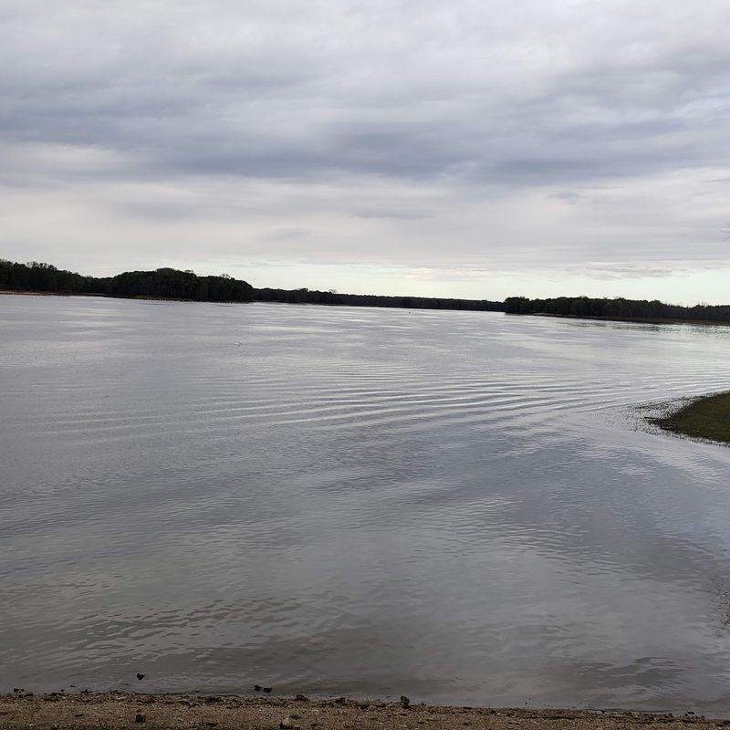 Catfish, Carp, and High-Water Luck