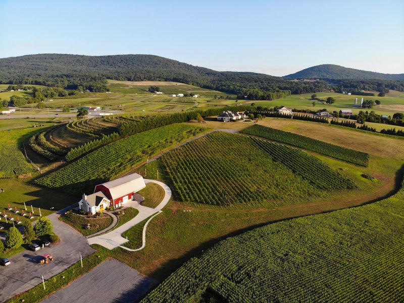Catoctin Breeze Vineyard, Thurmont, MD