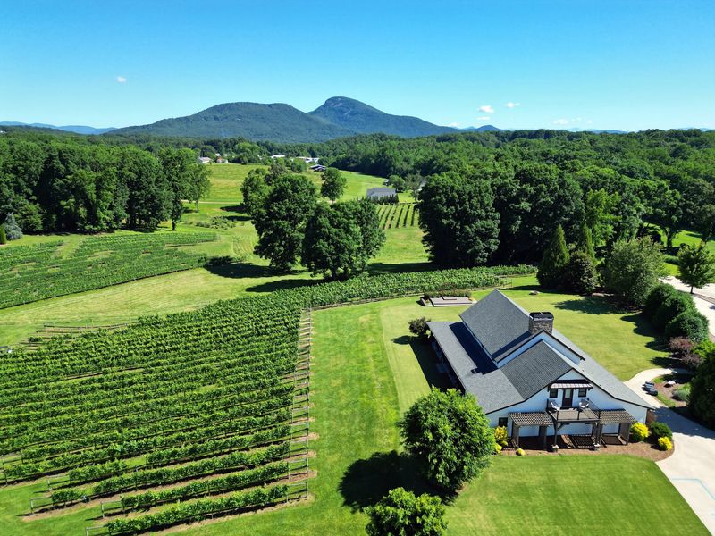 CeNita Vineyards, Cleveland, Georgia CeNita Vineyards, Cleveland, Georgia
