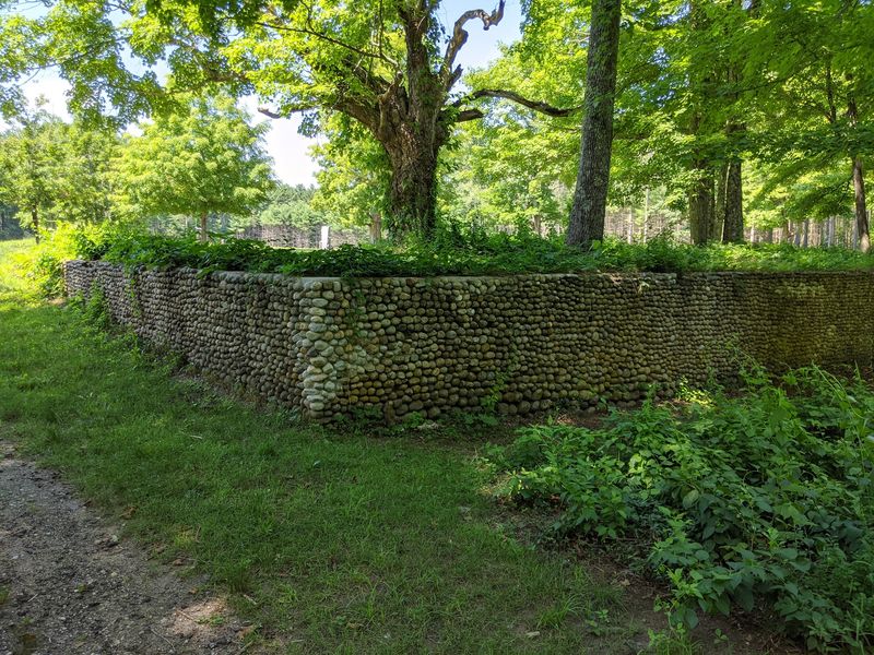 Cellar Holes That Tell A Story