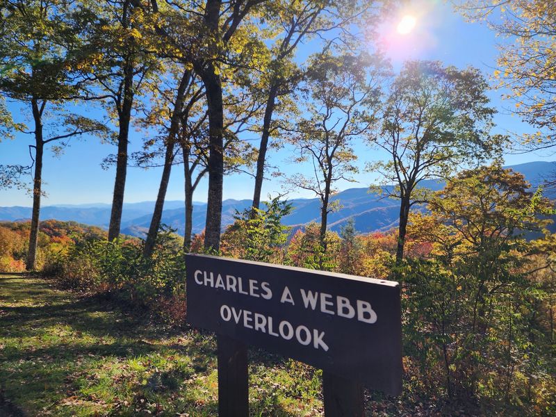 Charles A Webb Overlook, Bryson City, NC