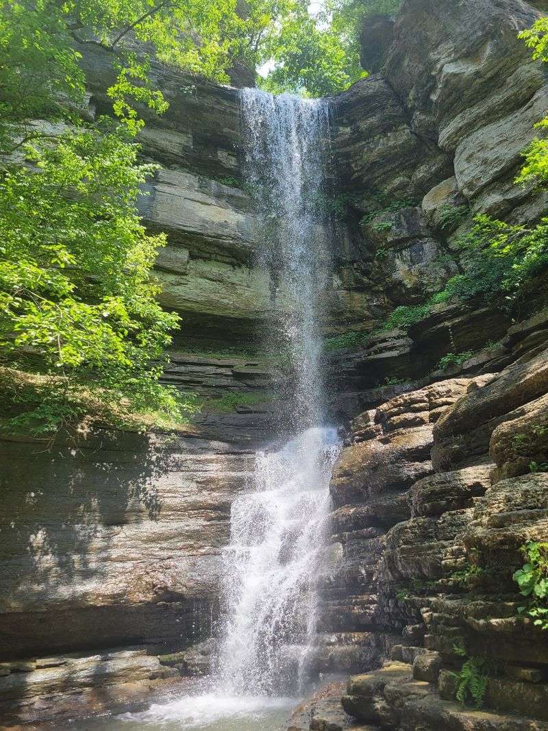 Chasing The Waterfalls Chasing The Waterfalls