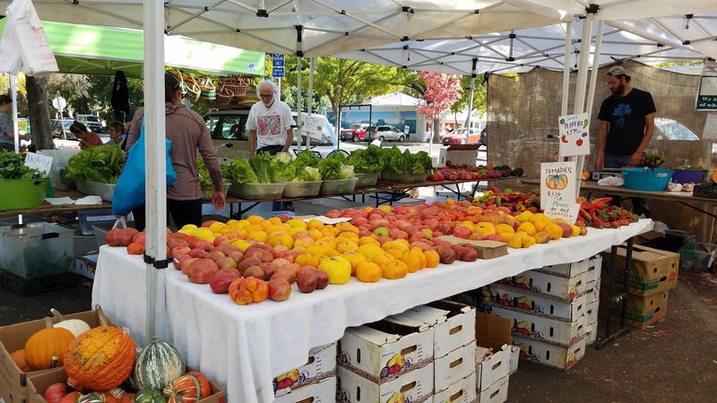 Chico Certified Farmers Market, Chico, CA Chico Certified Farmers Market, Chico, CA