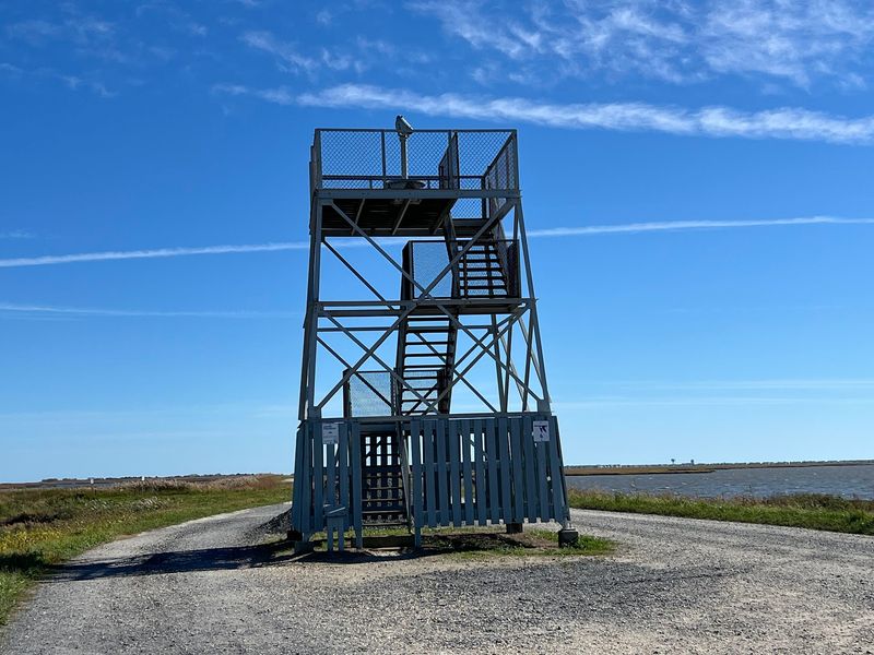 Climb the Tower for Sweeping Views
