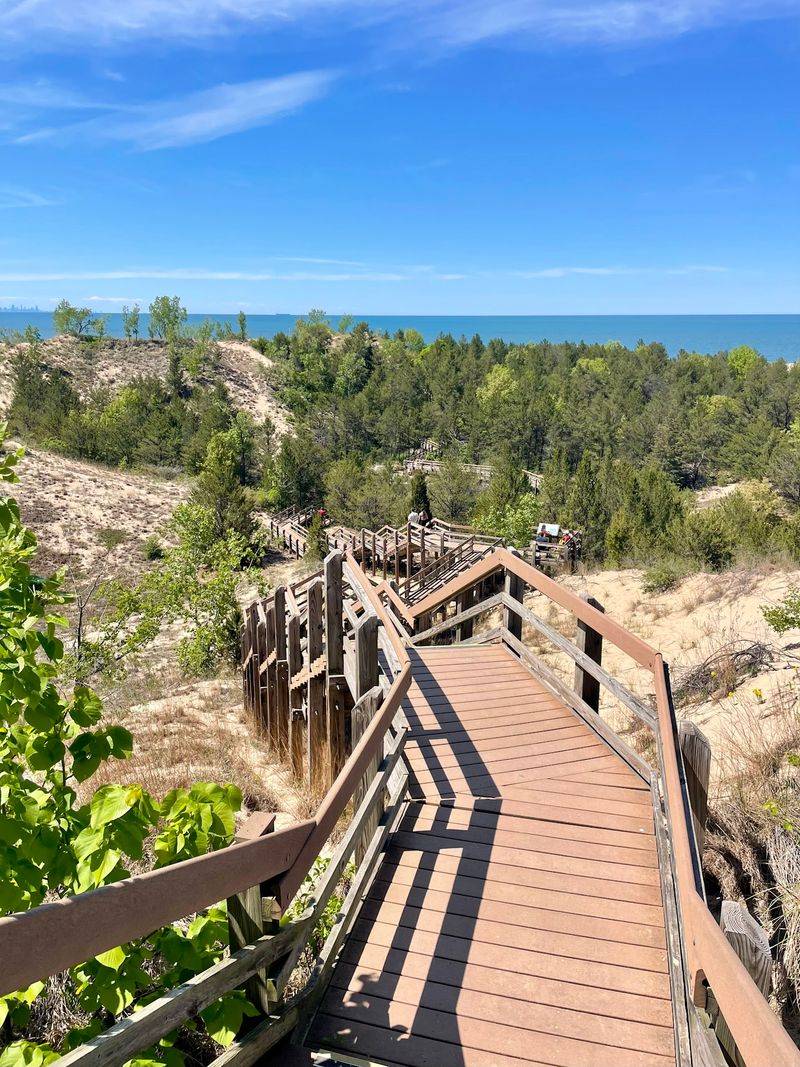 Climbing The Dune Succession Trail