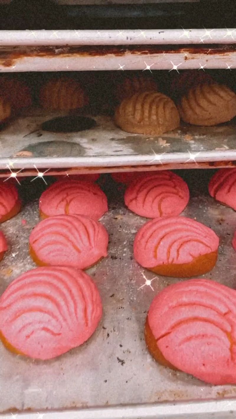 Conchas in Every Flavor Conchas in Every Flavor