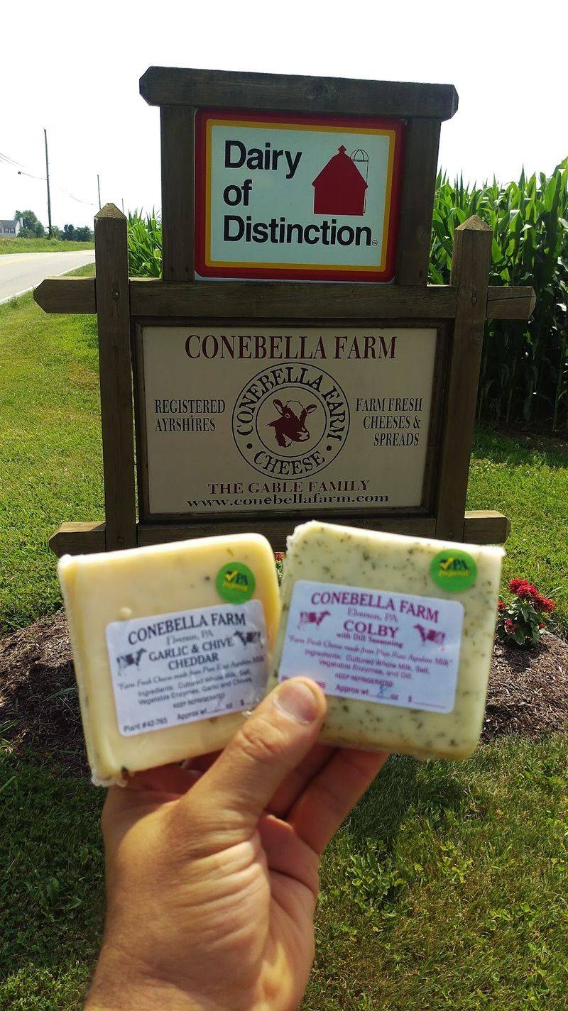 Conebella Farm, Elverson, PA